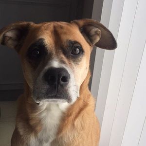 Meet your Posher, Katelyn